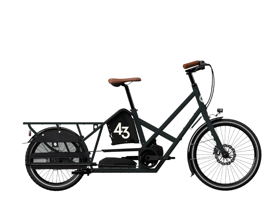 Bike 43 - longtail