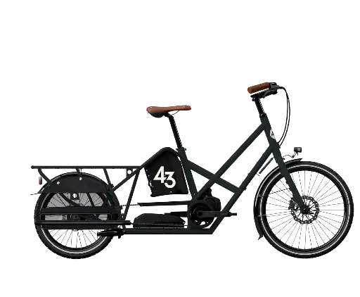 Bike 43 - longtail