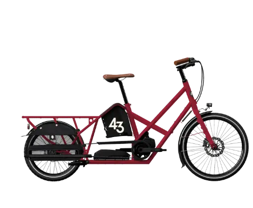 Bike 43 - longtail